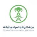 “البيئة”: حجم فقد وهدر الخضراوات سنويًّا يشكّل تحدّيًا لقطاع الزراعة