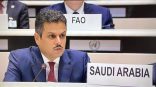 المندوب الدائم للمملكة في الأمم المتحدة : المملكة ترفض استهداف المدنيين وسياسة التهجير القسري للشعب الفلسطيني الشقيق