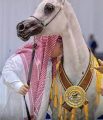 مربط “أكمل” يُتوَّج بكأس العالم لجمال الخيل العربية الأصيلة بباريس