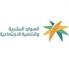 قرارات توطين المهن الفنية الهندسية والمهن القانونية ومهن التخليص الجمركي ومدارس تعليم قيادة المركبات تدخل حيز التنفيذ