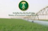 فرع ” البيئة ” بجازان يتابع سير مشروع تطوير منظومة التسويق الزراعي بالمنطقة