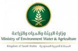 “البيئة” : استقبال ومعالجة نحو 10 آلاف طلب إلكتروني لرخص النحالين والمناحل خلال الأشهر 12 الماضية