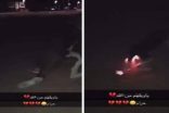 أول تعليق من “البيئة” على حرق كلب باستخدام ألعاب نارية