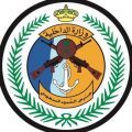 حرس الحدود بمنطقة جازان يقبض على (5) مخالفين لنظام أمن الحدود لتهريبهم (260) كيلوجرامًا من نبات القات المخدر