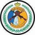 حرس الحدود بجازان يحبطُ تهريبَ (41.7) كيلوجرامًا من مادة الحشيش المخدِّر