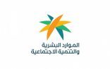 غدًا.. بدء توطين 4 مهن في القطاع الخاص وتوفير 20 ألف وظيفة للمواطنين