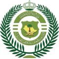 مكافحة المخدرات تقبض على (4) أشخاص بمنطقة جازان لترويجهم (56,119) قرصًا خاضعًا لتنظيم التداول الطبي