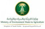 “البيئة” تدشن المرحلة الأولى لمشروع تطوير تقنيات وتطبيقات صناعة الطحالب بالمملكة