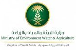 مسالخ فرع وزارة البيئة بجازان تستقبل 18,957 ذبيحةً خلال أيام التشريق