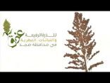 مركز التنمية الاجتماعية ينظم ورشة عمل بمهرجان “عذق” في جازان