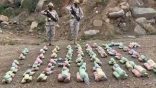 حرس الحدود بجازان يحبط تهريب (58) كيلوجرامًا من نبات القات المخدر