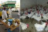 ضبط 3 منازل لتخزين الدواجن المريضة والأغذية المجهولة بالرياض